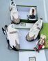 A pair of white Gucci x The North Face sneakers with monogram pattern, displayed in a green box with a small figurine.