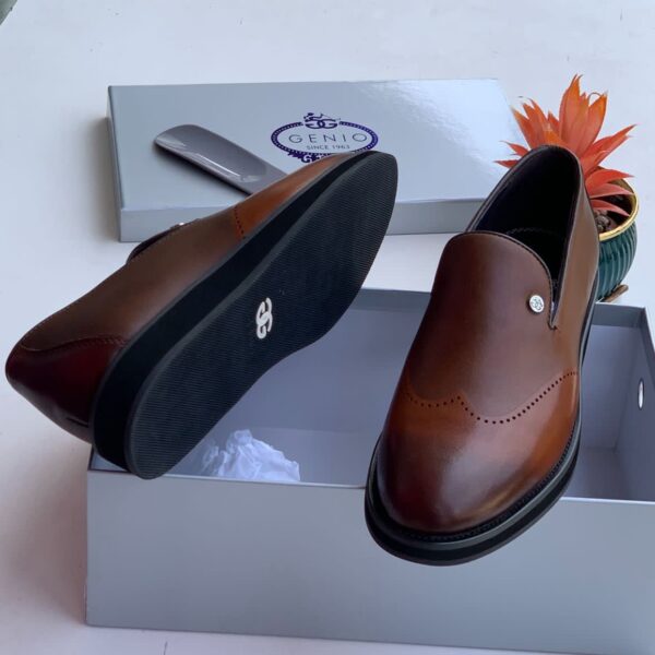 A pair of luxurious brown leather loafers with black soles, displayed in an open gray shoe box with the GENIO logo, accompanied by a shoe tree and a vibrant orange plant.
